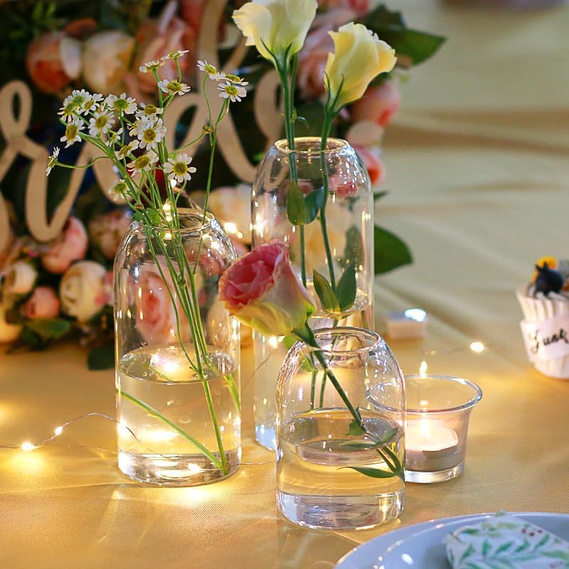 Etolies Glass Bud Vases in Bulk Set of 12, Clear Small Vases for Flowers,Modern Cylinder Glass Vase for Wedding Party Dining Table Centerpieces, Living Room Decorative, Home Decor.