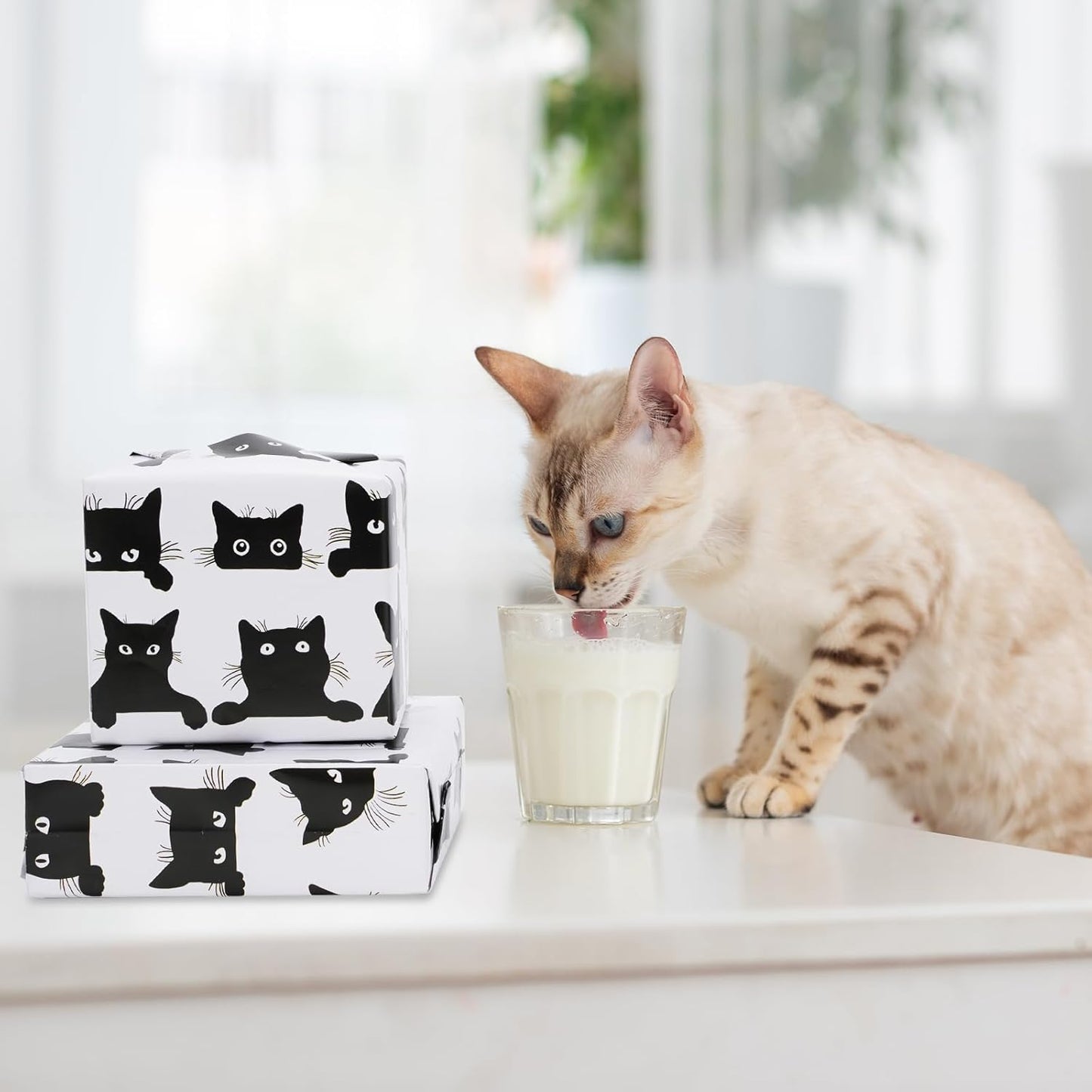 JarThenaAMCS 8 Sheets Cat Wrapping Paper - Not Roll - Cartoon Black Cat Gift Wrap Paper Folded Flat Decorative DIY Craft Art Paper for Halloween Birthday Holiday Party Supplies