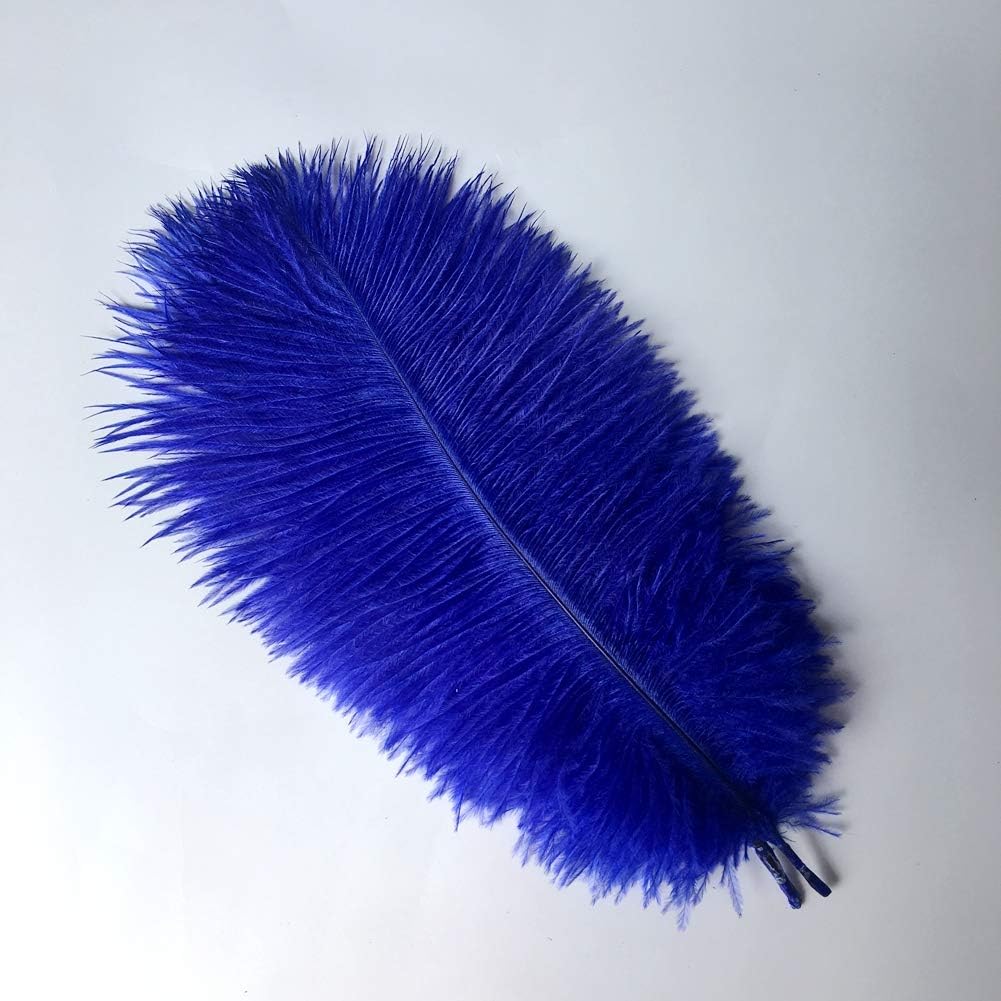 Sowder 8-10inch(20-25cm) Ostrich Feathers Plume for Wedding Centerpieces Home Decoration Pack of 10pcs(Royal Blue)