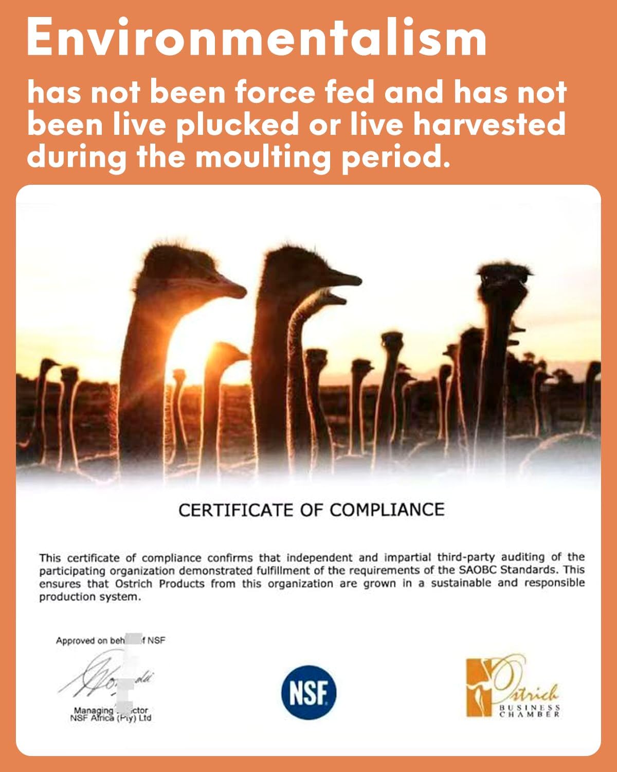 NEWONG 30pcs Orange Ostrich Feathers Natural Bulk 8-10in(20-25cm) Vase Craft Wedding Home Party Centerpieces Christmas Day Decoration