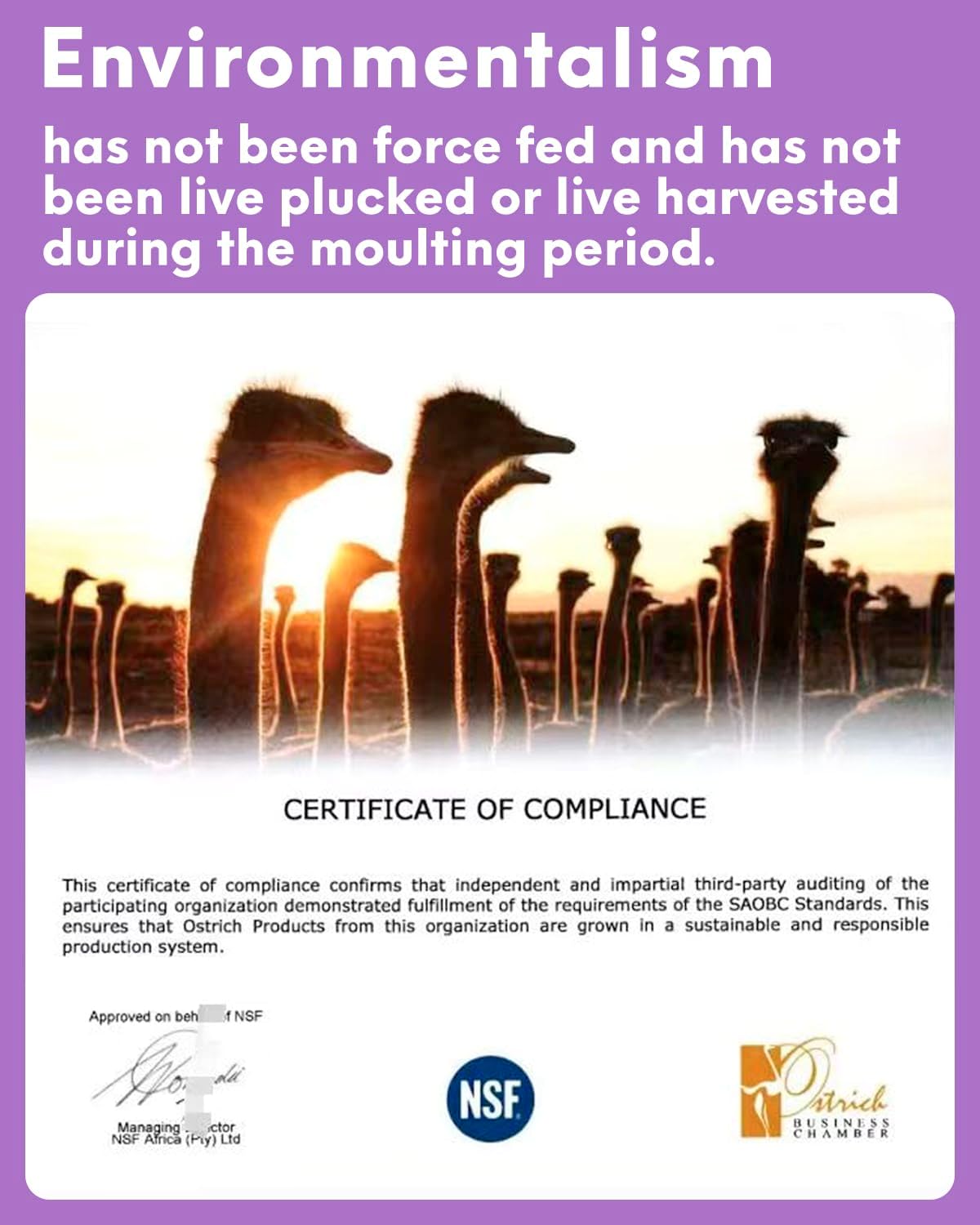 NEWONG 30pcs Light Purple Ostrich Feathers Natural Bulk 11-14inch(28-35cm) Vase Craft Wedding Home Party Centerpieces Christmas Day Decoration