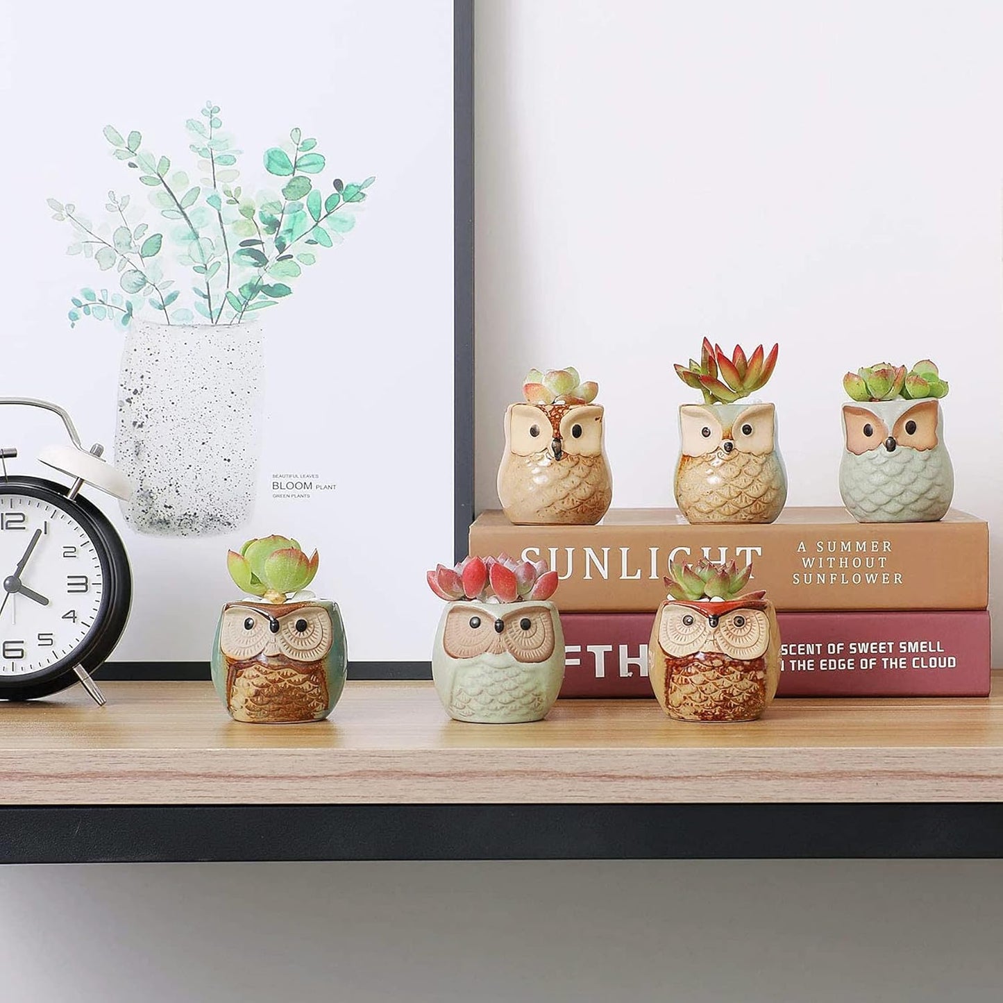 T4U 2.5 Inch Owl Ceramic Succulent Planter Pots with Drainage Hole Set of 6, Mini Cute Flower Pots Tiny Plant Holder Container Best for Home Office Garden Decoration Owl Gift Ideas