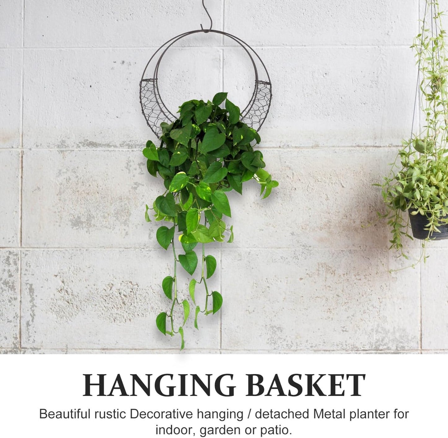 Air Plants Holders Wire Wreath Frame Hanger, 11 inch Moon Shape Wreath Form Hanging Plant Holder Metal Hanging Orchid Planter Plant Basket Holder, Succulent Wire Wreath Frame with Hook (Pack of 2)