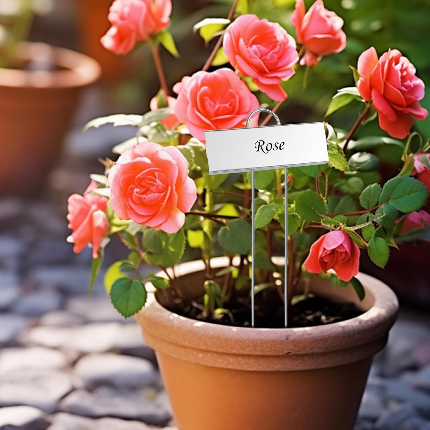 FORUP Metal Plant Labels, 30 Pack Garden Label Markers, Weatherproof Garden Stake Tags, Reusable Planting Gardening Markers, Silver