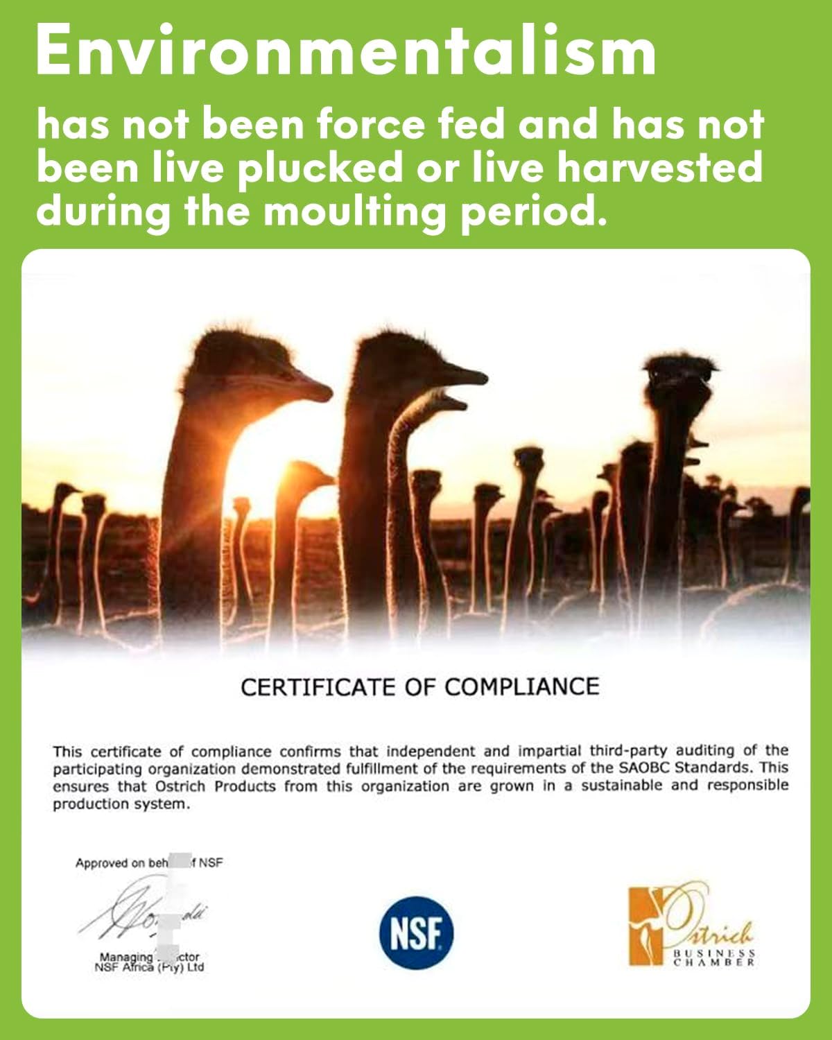 NEWONG 30pcs Dark Green Ostrich Feathers Natural Bulk 8-10inch(20-25cm) Vase Craft Wedding Home Party Centerpieces Christmas Day Decoration