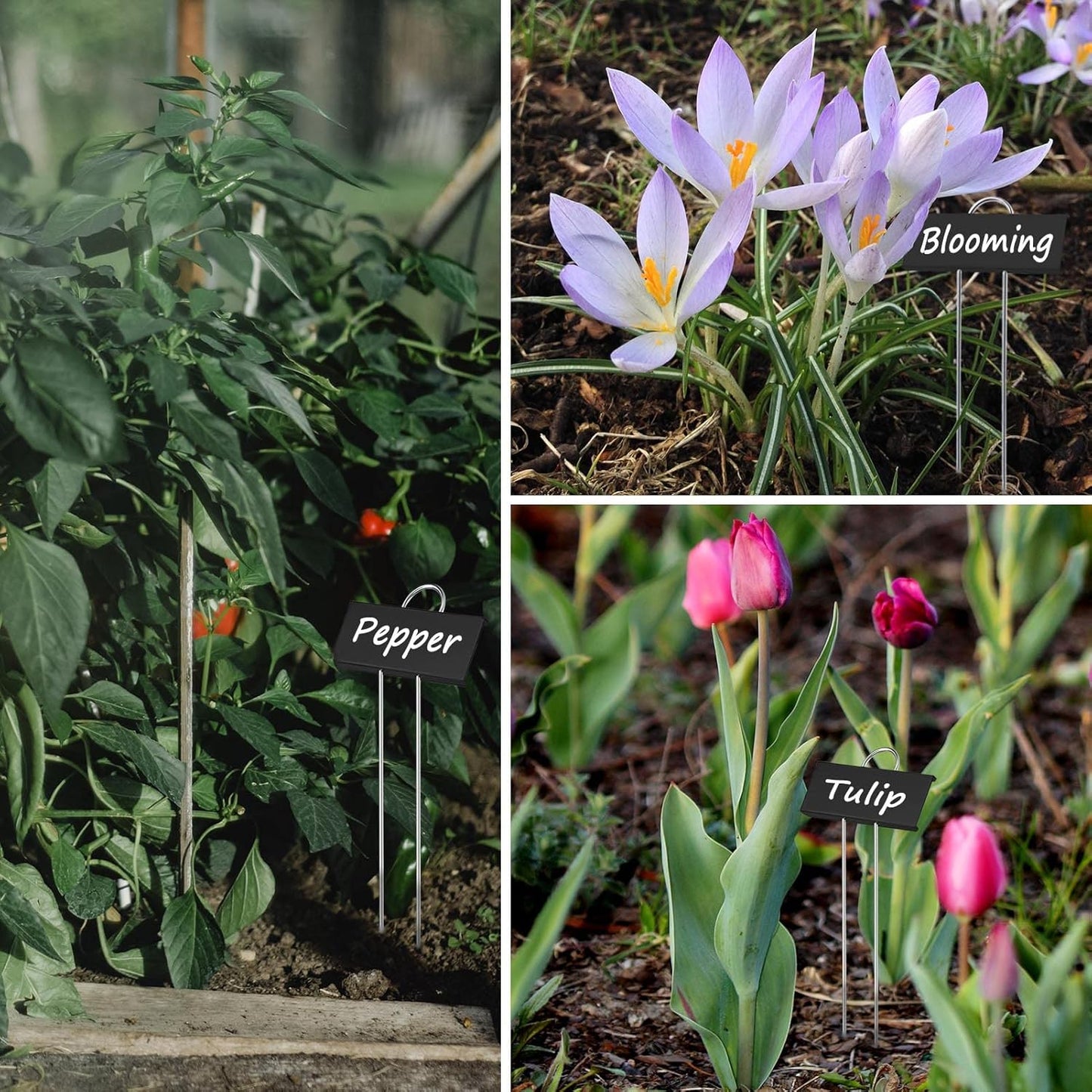 30pcs Plant Labels for Outdoor Garden Waterproof Plant Markers for Outdoor Plants, 11inch Metal Plant Tags and Labels Garden Markers for Seedlings Herbs Vegetable Greenhouse Gifts (Black)