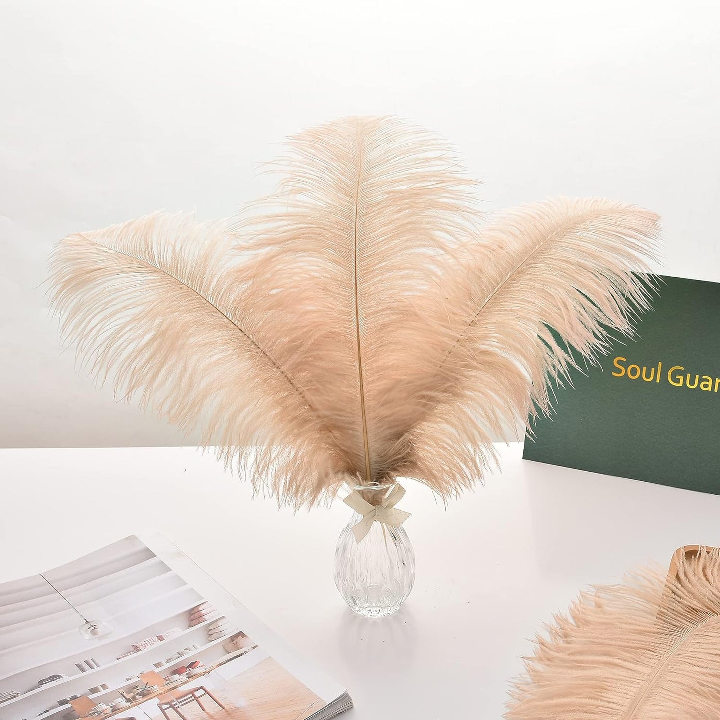 Ballinger Large Champagne Ostrich Feathers - 24pcs 8-10inch Boho Feathers for vase and Home Decor Wedding Party Centerpieces