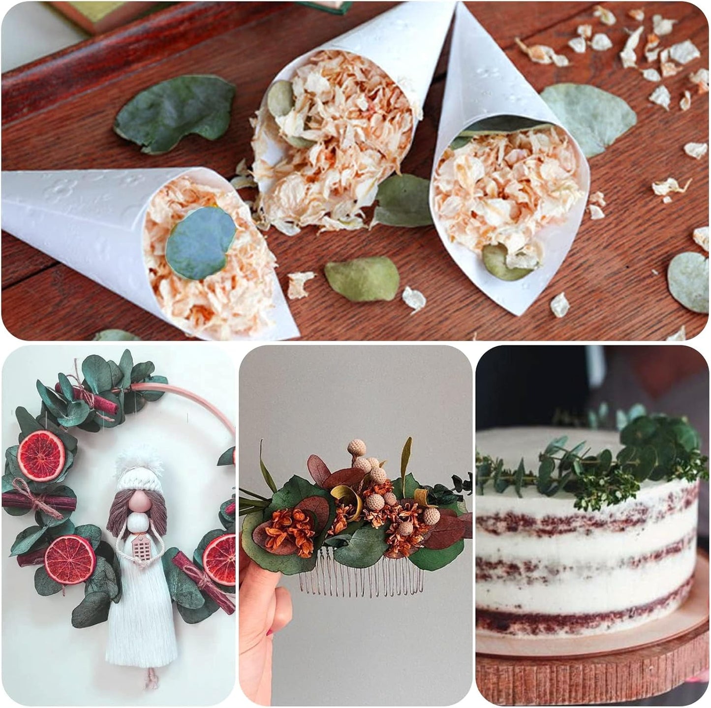 1600+Preserved Real Eucalyptus Leaves Small, Pure Natural Bulk Eucalyptus, Wedding Leaves Confetti for Anniversaries, Birthday, Graduation, Bridal Showers, Baby Shower Party Decor