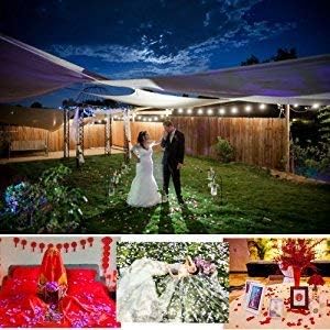 ocharzy 1000pcs Rose Petals Artificial Silk Flower Rose Petals for Wedding Decorations,Romantic Night,Valentine's Day,Parties,Events(Separated, B-Gradient Pink)