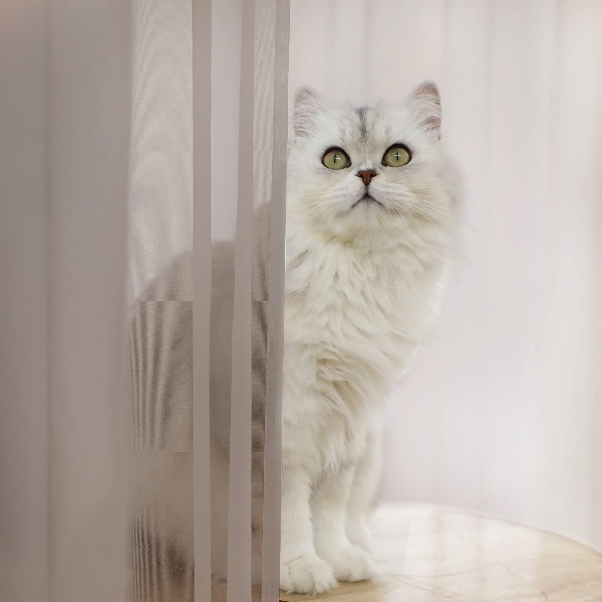 Window Light Grey Sheer Curtains 48 Inches Width 160 Inches Long 2 Panels Sheer Curtains Clear Curtains Basic Rod Pocket Panel for Home Living Room Bedroom Kids Room Yard Patio Parlor Sliding