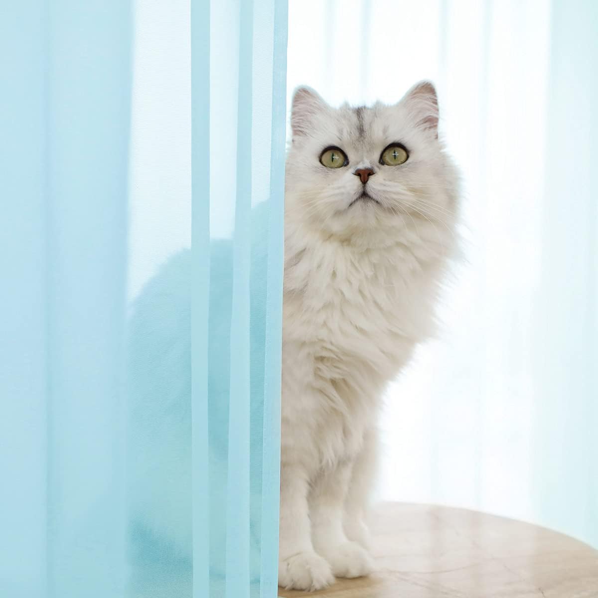 Window Lake Blue Sheer Curtains 60 Inches Width 45 Inches Long 2 Panels Sheer Curtain Clear Curtains Basic Rod Pocket Panel for Home Living Room Bedroom Kids Room Yard Patio Parlor Sliding