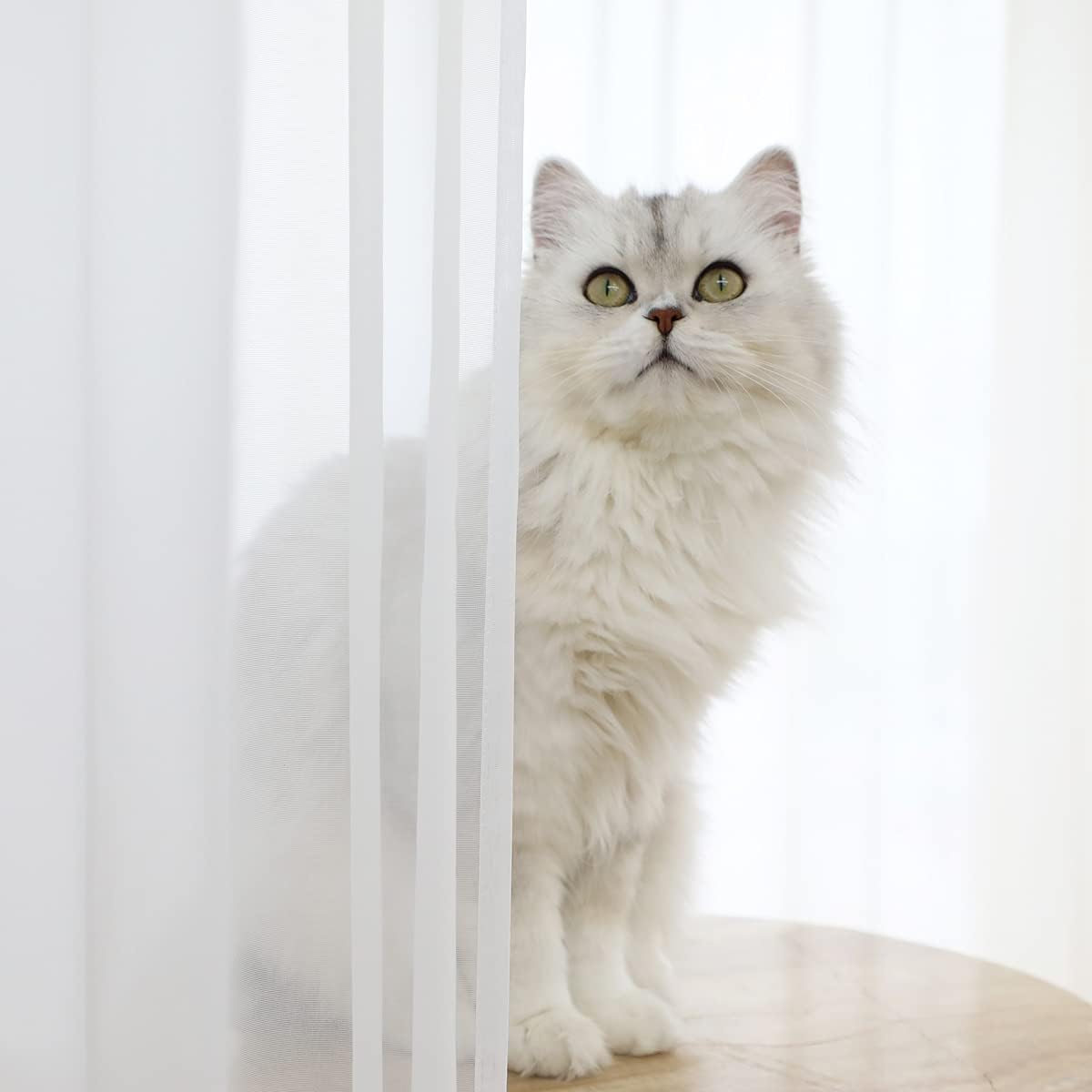 Window White Sheer Curtains 48 x 72 Inches - 2 Panels Clear Basic Rod Pocket for Home, Living Room, Bedroom, Kids Room