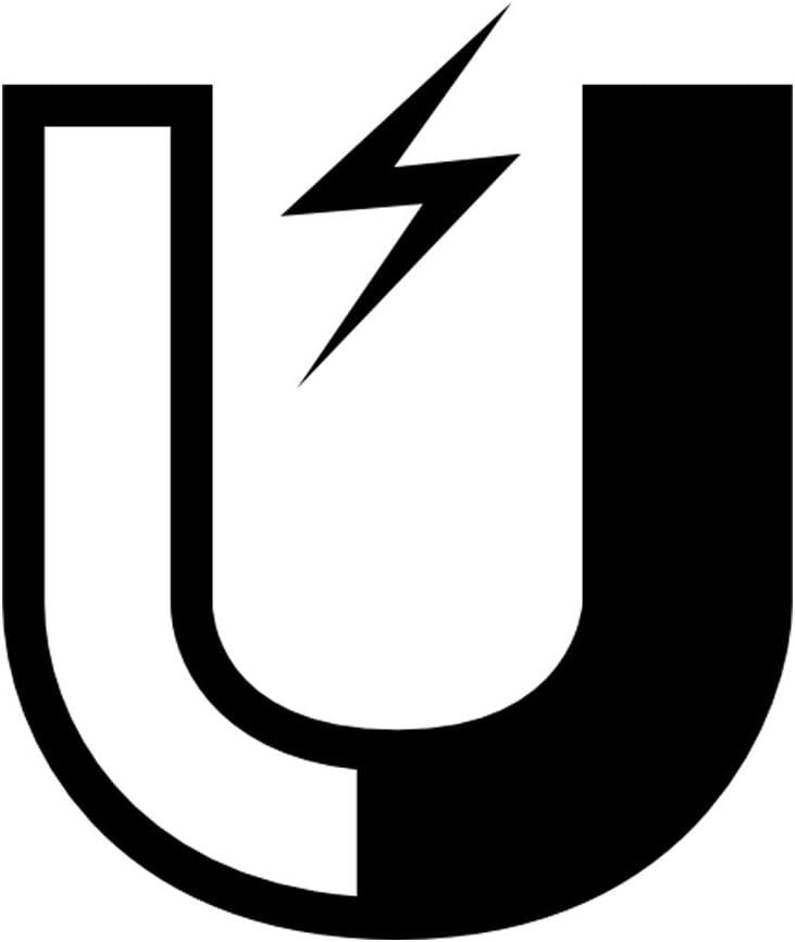 VictoryStore Magnets - Just Married Oval Car Magnet, Set of 2, Size 18 inches x 24 inches