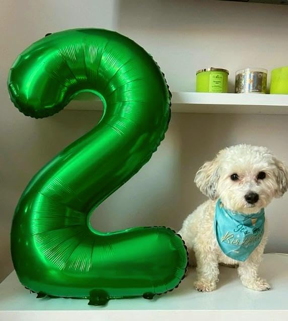 40 Inch Big Green Number 2 Balloon Birthday Decoration, Number 2 Helium Balloon 12 20 22 23 24 26 28 32 42 Celebration, Boy Girl Baby Anniversary Party Graduations Supplies Decorations