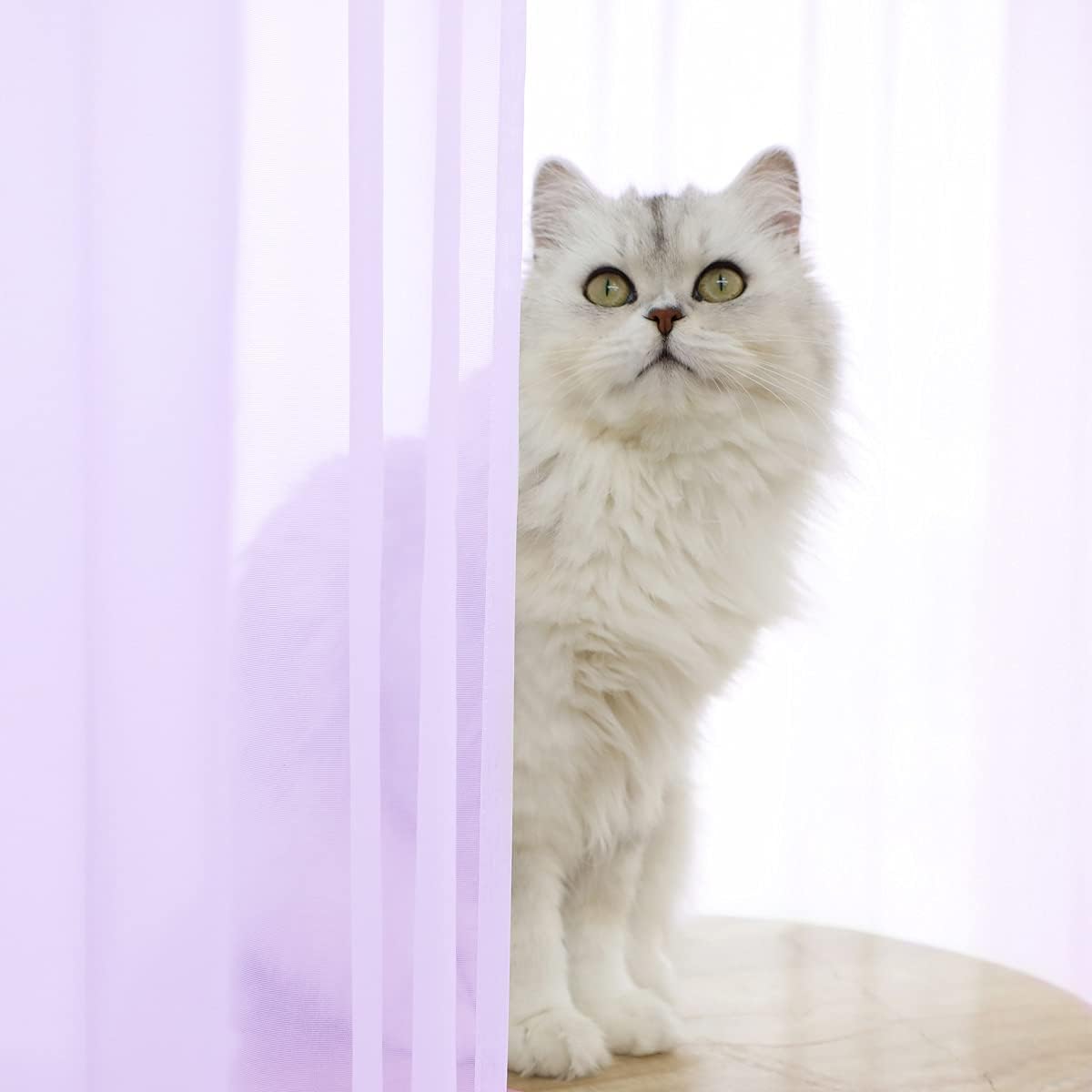 Window Purple Sheer Curtains 60 Inches Width 63 Inches Long 2 Panels Sheer Curtain Clear Curtains Basic Rod Pocket Panel for Home Living Room Bedroom Kids Room Yard Patio Parlor Sliding