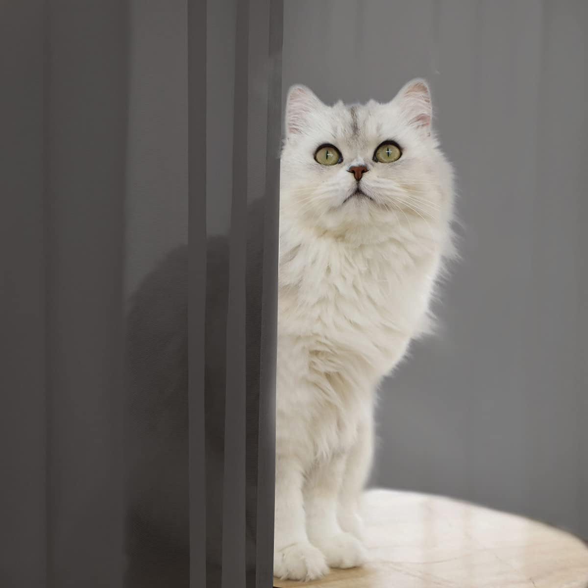 Window Dark Grey Sheer Curtains 48 Inches Width 145 Inches Long 2 Panels Sheer Curtain Clear Curtains Basic Rod Pocket Panel for Home Living Room Bedroom Kids Room Yard Patio Parlor Sliding