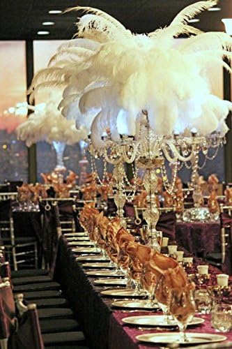 Sowder 14-16inch(35-40cm) Ostrich Feathers,Ostrich Plume,Wedding centerpieces Feathers Plume for Wedding Centerpieces Home Decoration Pack of 10pcs(White)