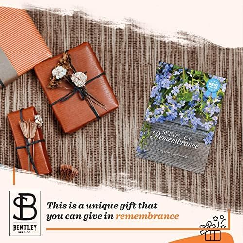 Bentley Memorial Blue Flax Seeds of Remembrance, Non-GMO, Non-Coated Packets, Funeral Keepsake, Linum Lewisii, 25 Pack