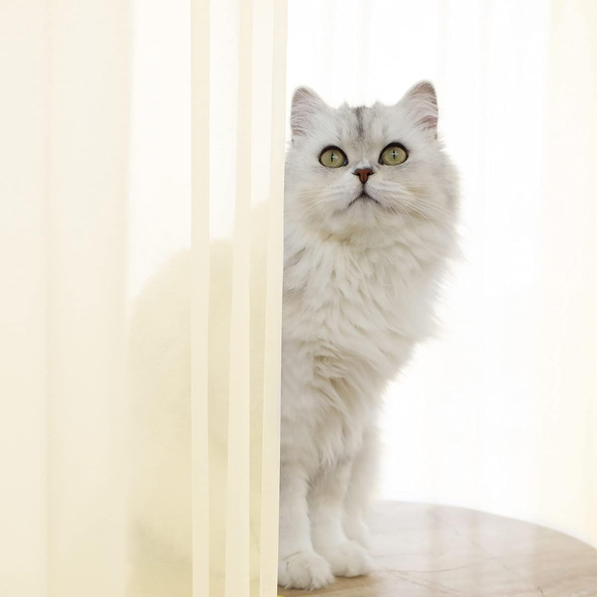 Window Light Yellow Sheer Curtains 60 x 84 Inches 2 Panels - Clear Basic Rod Pocket Panel for Living Room, Bedroom, Kids Room, Yard, Patio, Parlor, Sliding