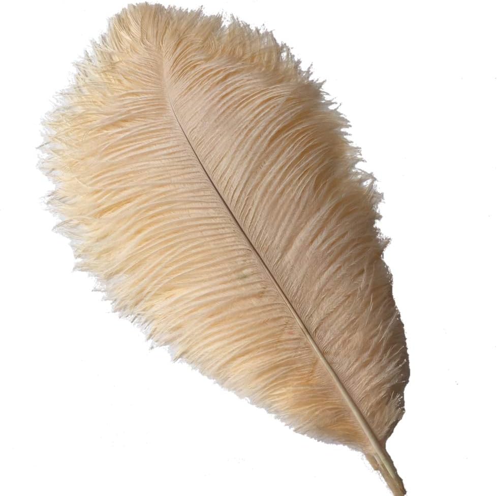 Sowder 14-16inch(35-40cm) Ostrich Feathers Plume for Wedding Centerpieces Home Decoration Pack of 10pcs(Champagne)