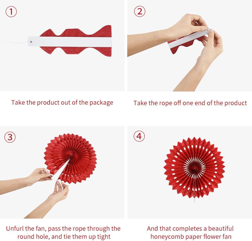 BEISHIDA Pink Black Hanging Honeycomb Round Paper Fans Decoration Bachelorette Theme Tissue Paper Fan Garland for Bridal Shower Women Girls Birthday Wedding Party Supplies（10packs）