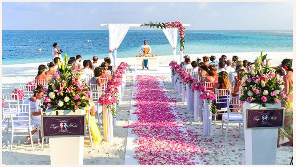 ocharzy 1000 PCS Rose Petals Fake Rose Petals for Romantic Night, Wedding Flower Decoration, Party, Events (Light Pink)