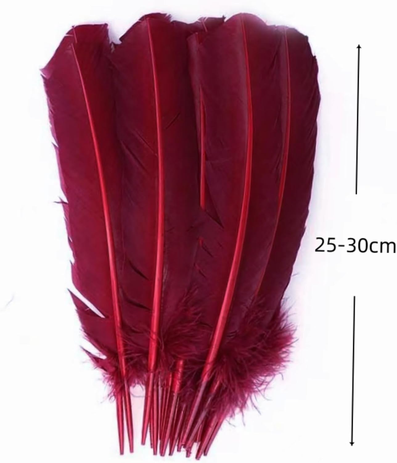 Burgundy Turkey Feathers,22 Pcs Natural Feathers Bulk Long 10-12 inch (25-30cm),Turkish Feather for Crafts DIY Wedding Home Party Mardi Gras Decorations (Burgundy)