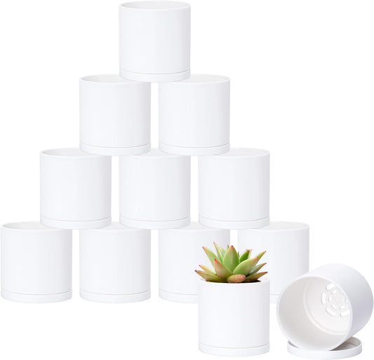 D'vine Dev 12 Pack 3.5 Inch Mini Plastic Plant Pots, Small Garden Planters for Plant with Drainage Holes and Saucers, White Color, 74-Z-D-4