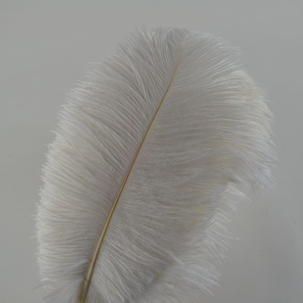 KOLIGHT 40pcs 12''~14''(30~35cm) Natural Ostrich Feathers for DIY Home Wedding Party Office Decoration (White)