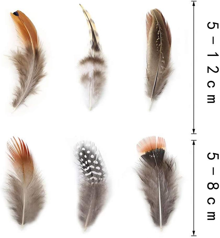 360pcs 12 Styled Natural Feathers Assorted Mixed Feathers for Jewelry and Dream Catcher Crafts