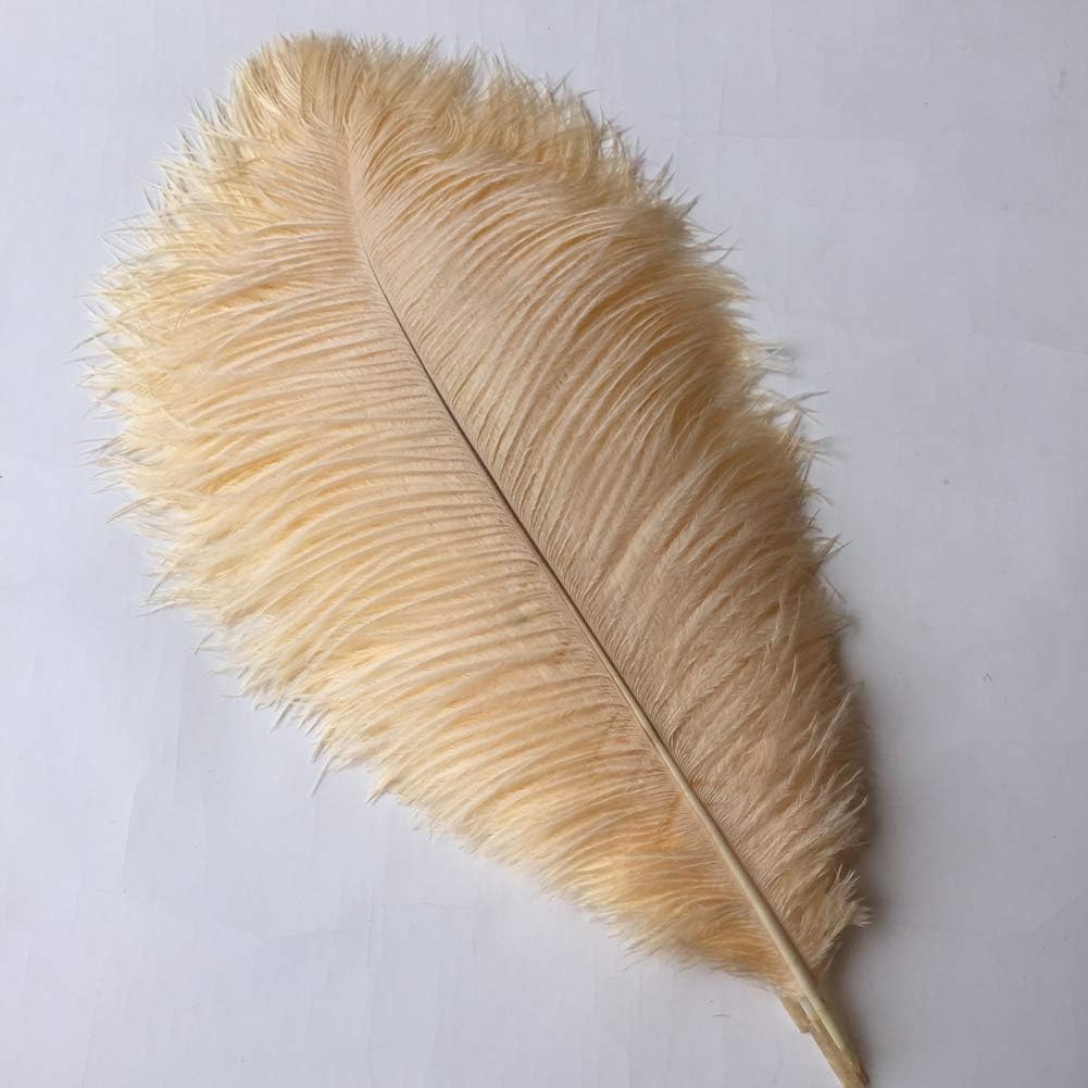 Sowder 14-16inch(35-40cm) Ostrich Feathers Plume for Wedding Centerpieces Home Decoration Pack of 10pcs(Champagne)