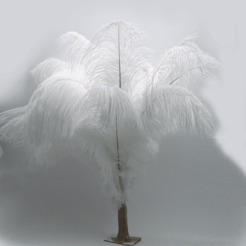 KOLIGHT 40pcs 12''~14''(30~35cm) Natural Ostrich Feathers for DIY Home Wedding Party Office Decoration (White)