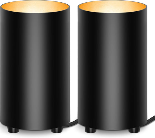 SUNVIE 2 Pack Uplighting Indoor Floor Can Light Spotlight, Up Lights Indoor Floor Spotlight with 2700K GU10 Bulbs, 5W Spot Lights for Plant Picture, 5.9 FT Plug Cord & Foot Switch