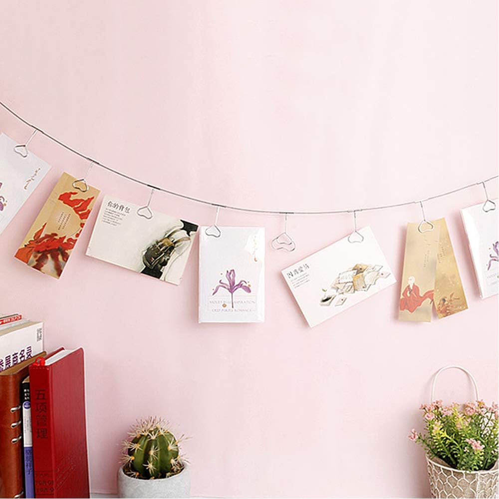 Multi-Purpose Steel Wall Hanging Photo Display Cable Wire Rod String with 12 Clips for Hanging Photos Notes and Artworks (Heart Shape Clip)