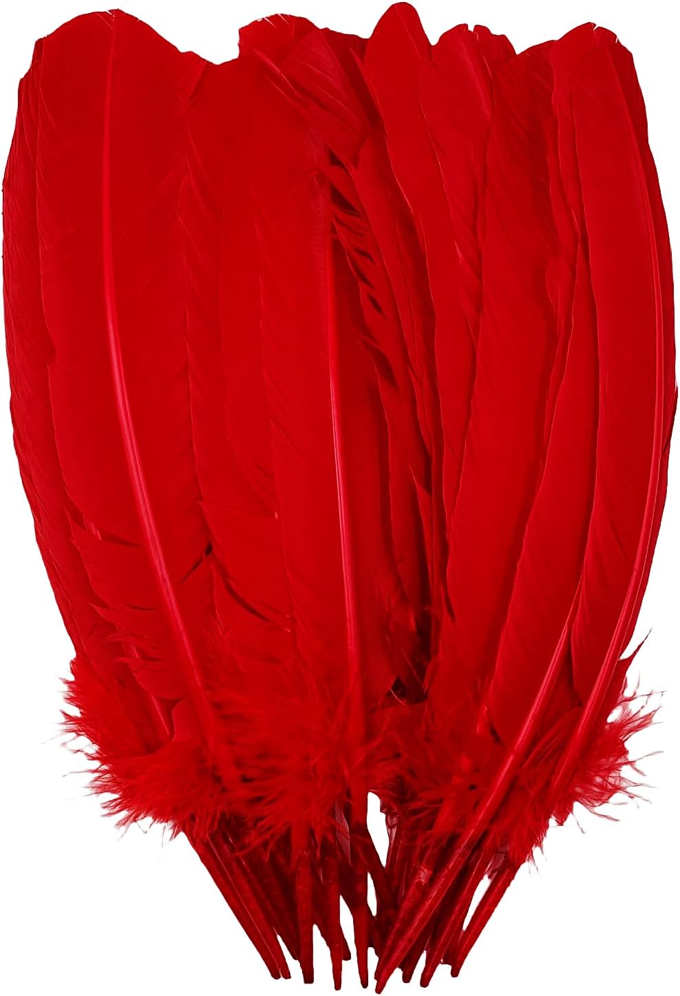 Red Turkey Feathers,22 Pcs Natural Feathers Bulk Long 10-12 inch (25-30cm),Turkish Feather for Crafts DIY Wedding Home Party Mardi Gras Decorations (Red)