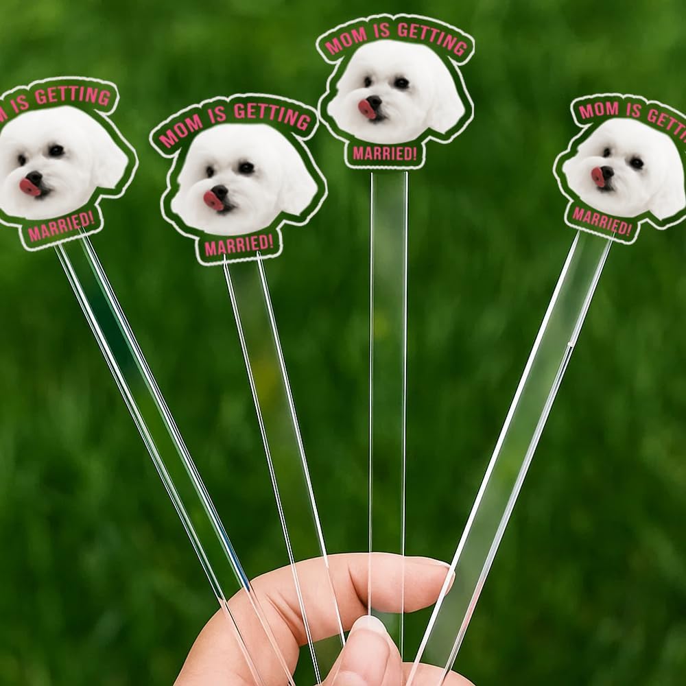 Custom 50 Pcs Double-Sided Wedding Pet Stir Sticks, Personalized Dog Cat Stir Stick, Acrylic Cocktail Stirrers, Wedding Drink Stirrers, Bachelorette Gifts, Bridal Shower Decorations