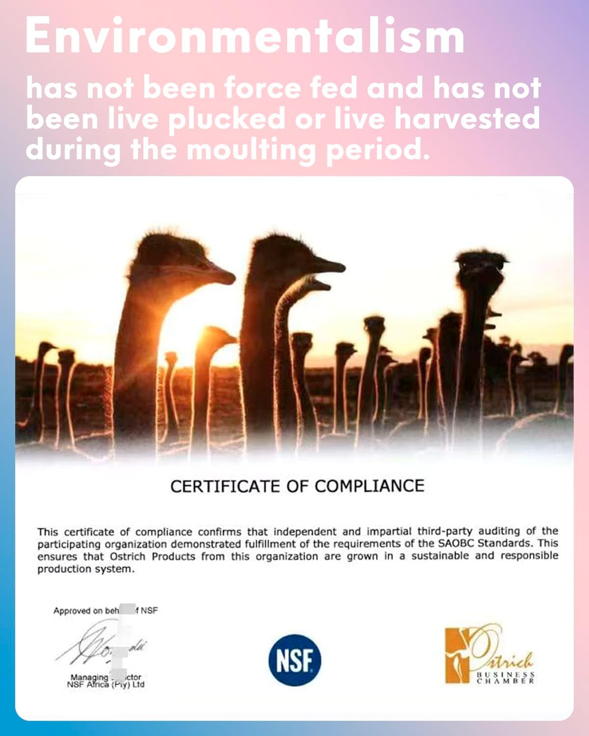 NEWONG 30pcs Royal Blue Ostrich Feathers Natural Bulk 9-12in（23-30cm） Vase Craft Wedding Home Party Centerpieces Christmas Day Decoration