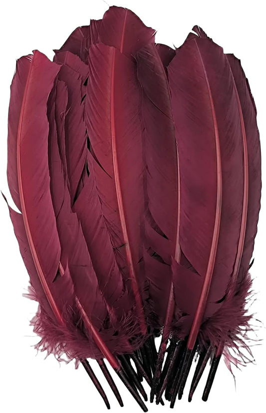 Burgundy Turkey Feathers,22 Pcs Natural Feathers Bulk Long 10-12 inch (25-30cm),Turkish Feather for Crafts DIY Wedding Home Party Mardi Gras Decorations (Burgundy)
