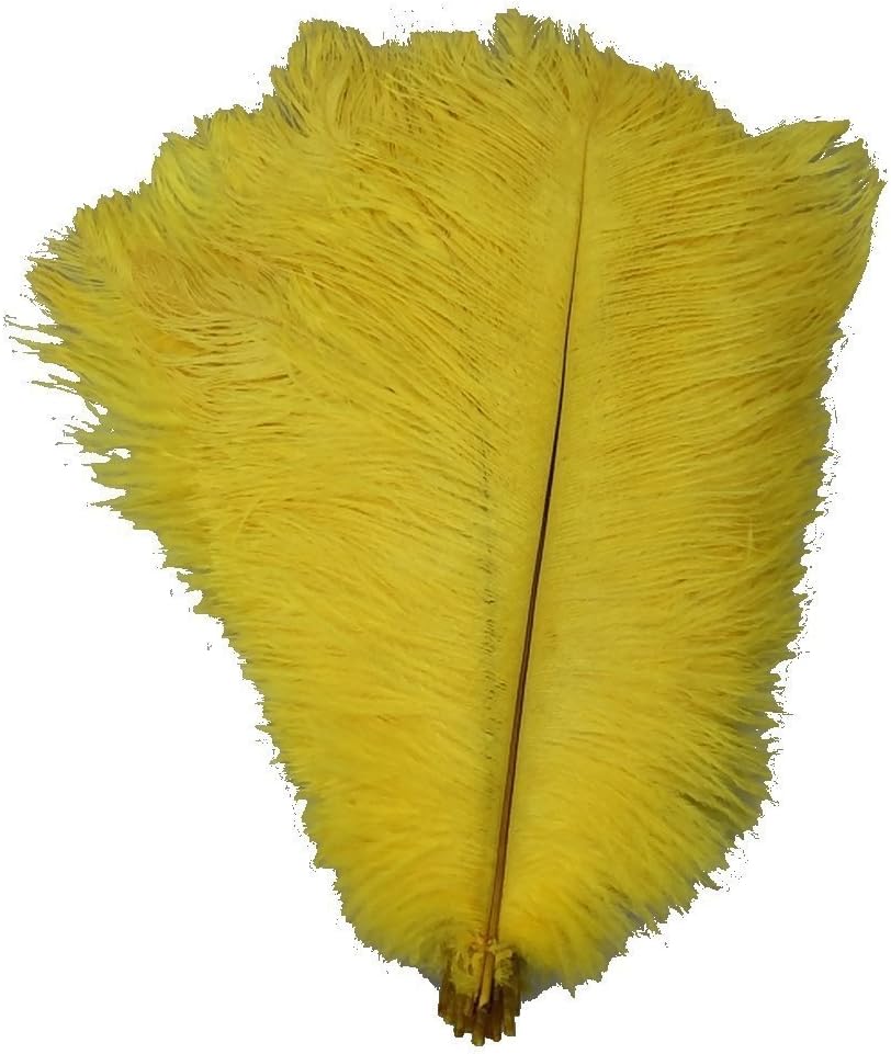 Kolight® 40pcs 12''~14''(30~35cm) Natural Ostrich Feathers for DIY Home Wedding Party Office Decoration (Yellow)