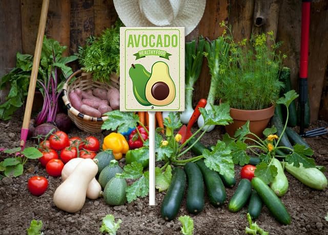 Eveokoki Aluminum Seed & Plant Labels - Plant Markes for Seedlings-Plant Tags for Pots - Garden Signs for Vegetable - Durable Markers for Plants Outdoor Waterproof - Garden Decor for Farmhouse