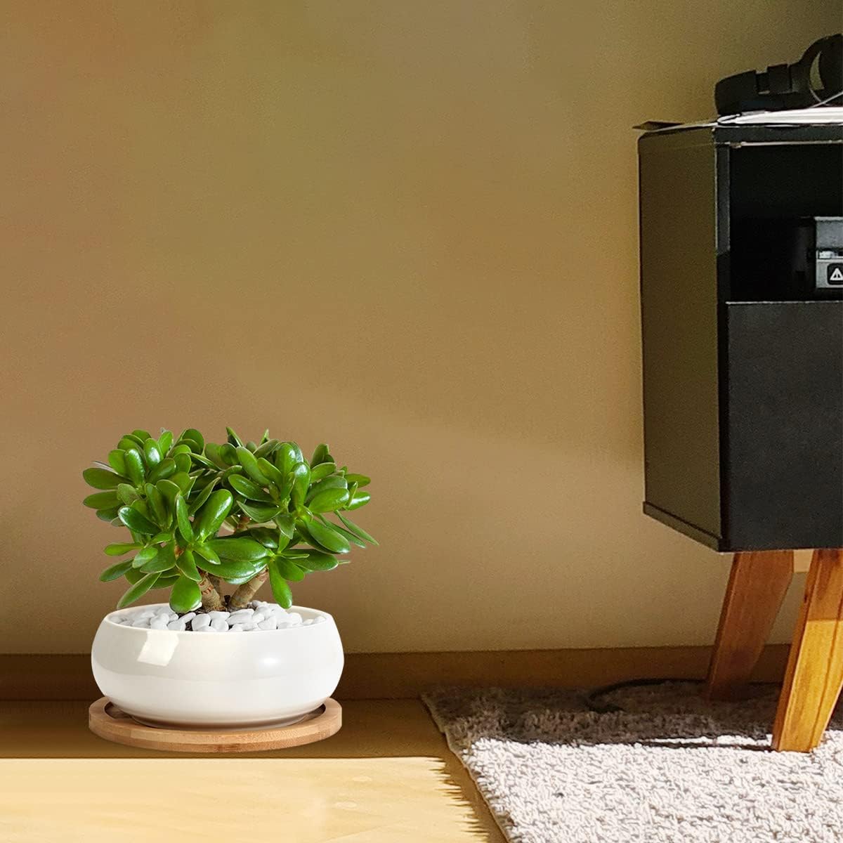 ZOUTOG 2 Pack Succulent Pots, 6 inch Ceramic Planters for Indoor Plants with Bamboo Tray, Pots with Drainage, Seeds＆ Plants Not Included