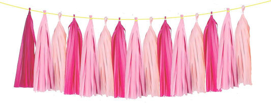 ZOOYOO Tassel Garland Tissue Paper Tassel Banner Table Decor,DIY Kits for Girls Women Birthday,Wedding,Bridal Shower,Bachelorette,Anniversary,Pack of 15(Hot-Pink,Light-Pink)
