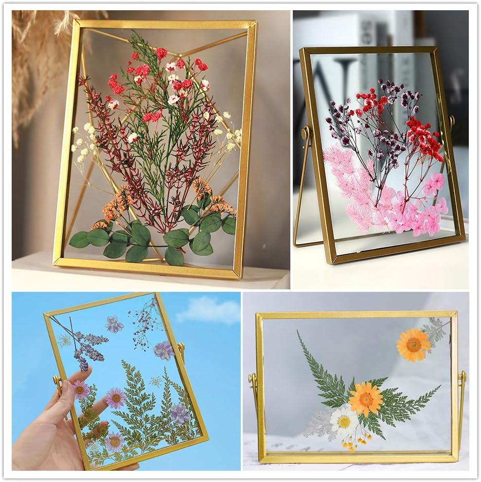 Vignee Real Dried Pressed Leaf Flowers-Multiple Colorful Pressed Flowers Daisies for Craft Resin Jewelry Making Art Craft DIY（White）