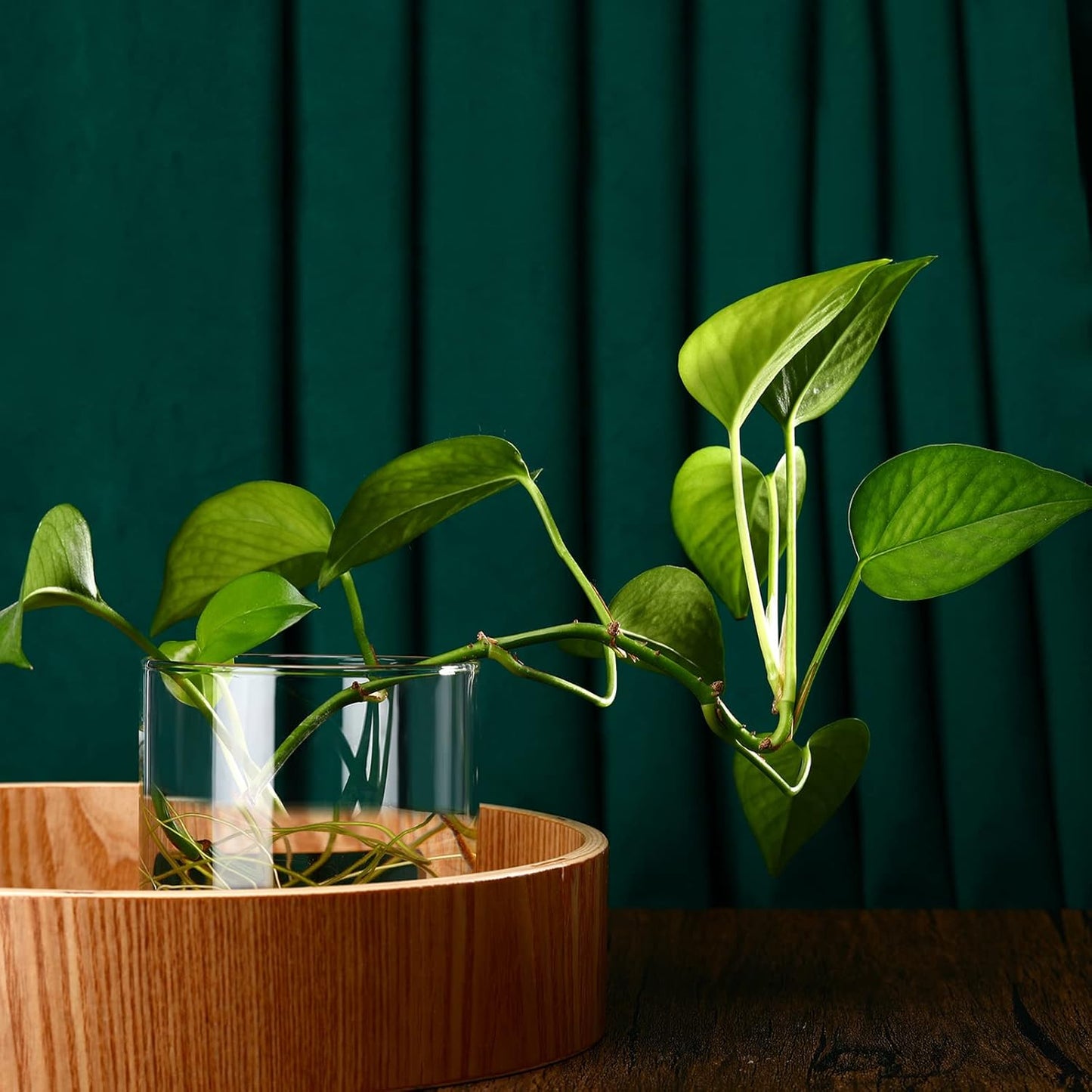 Mimorou 24 Pcs 4 Inch Tall Glass Vases Bulk Clear Cylinder Flower Vases Transparent Candle Holder Wedding Table Centerpieces Decoration Bulk for Home Dinners Party Event