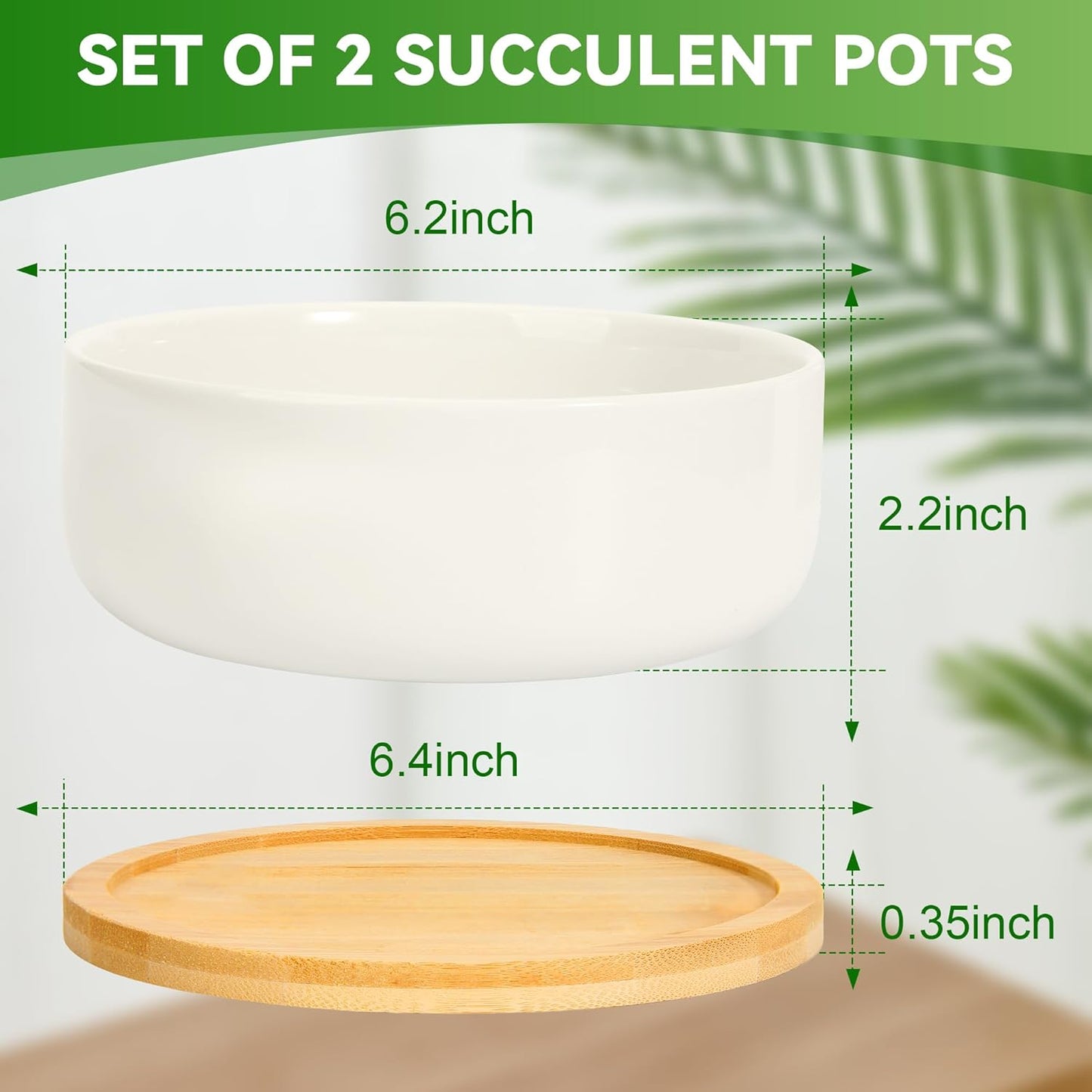 ZOUTOG Plant Pot 6 Inch,Ceramic Succulent Pots for Flower with Drainage and Tray,Succulent Planters for Indoor Plants White Round with Home,Office,Pack of 2