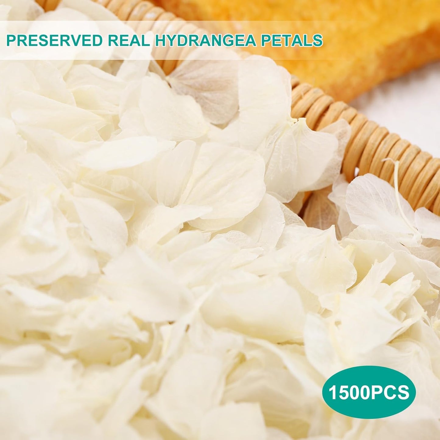 Dried Real Hydrangea Petals, Natural Preserved Dry Flower Petal for Wedding Party Dinner Table Decor, Romantic Night for Her, Engagement, Bridal Shower, Valentines Day, Confetti (1.1oz, Ivory White)