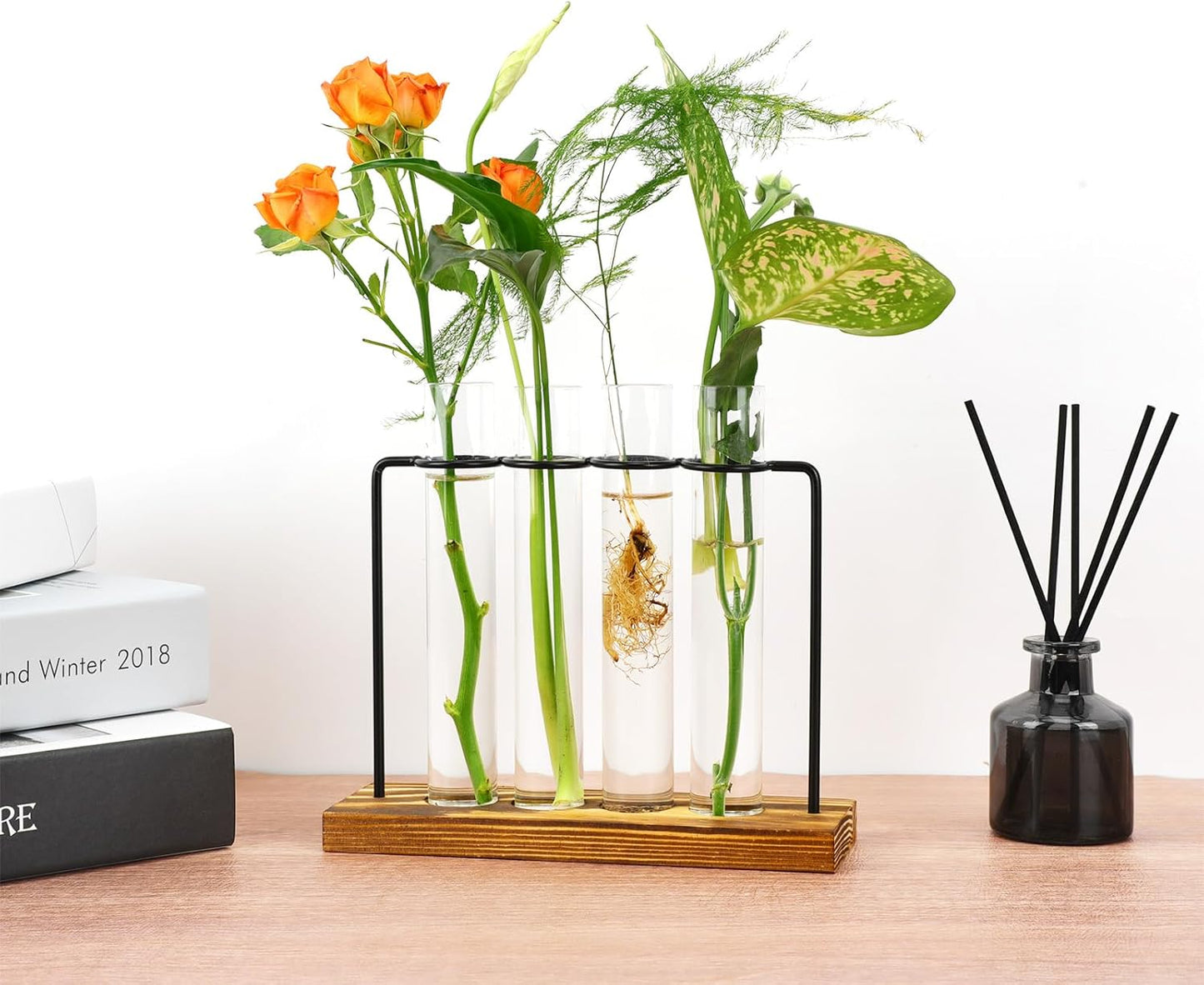 Plant Propagation Station, Glass Tubes for Indoor Hydroponic Plants & Flower Stems, Home/Office Decor, Birthday Gifts for Women, Gardening Gifts for Mom