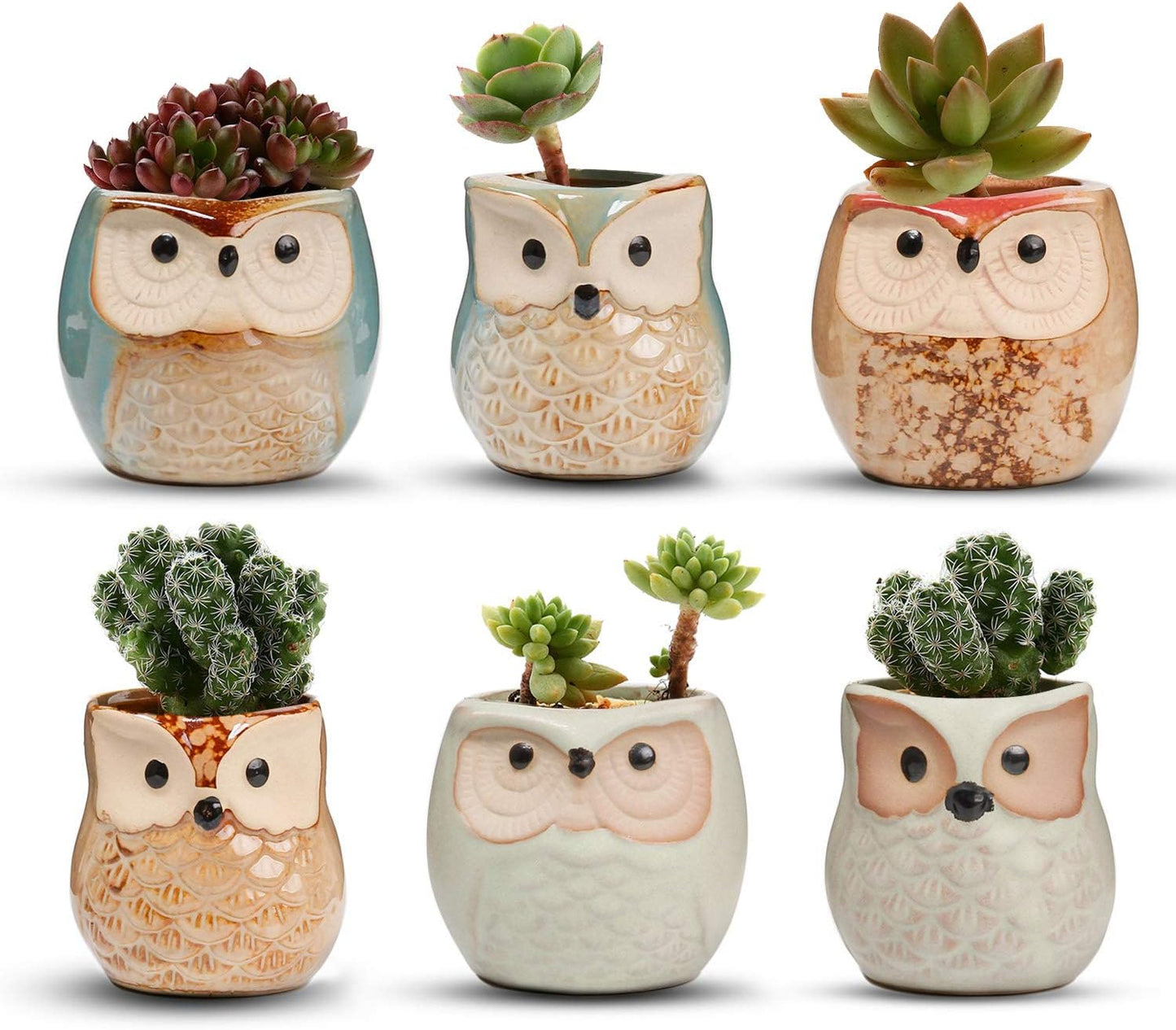 T4U 2.5 Inch Owl Ceramic Succulent Planter Pots with Drainage Hole Set of 6, Mini Cute Flower Pots Tiny Plant Holder Container Best for Home Office Garden Decoration Owl Gift Ideas