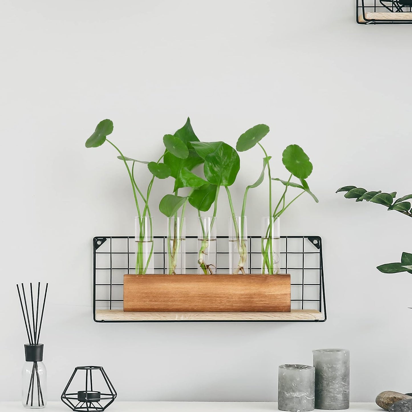 YIBOT Propagation Stations, Plant Terrarium with Wooden Stand, Birthday Gardening Gifts for Women Mom Plant Lovers,Home Office Desk Decor, 5 Glass Test Tubes Vases