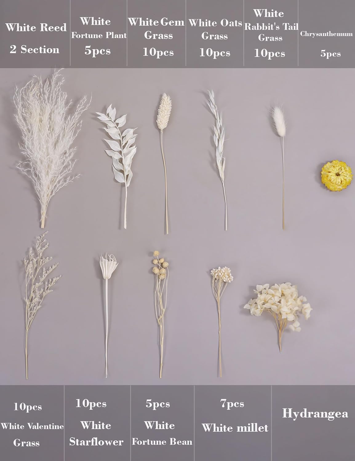 DIY Natural Dried Flower Kit Loose Dried Flowers for vases Off-White Dried Flowers with Stems Preserved Hydrangeas Mini Dried Flower Bouquets (White)